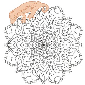 Floral Mandala-Style Coloring Page