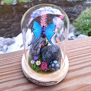 May include: A clear glass dome cloche on a light wood base containing a blue butterfly, a textured gray rock, a small brown mushroom, green moss, and pink and white flowers. The base features the text Blue Butterfly printed on the front.