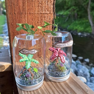 May include: Two clear glass jars with silver lids, each containing a miniature plant sculpture on a rocky base. One jar holds a green plant labeled Nirnroot, and the other holds a red plant labeled Crimson Nirnroot, both with green foliage.