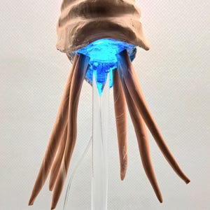 May include: A sculpture of a creature with a light brown, layered head and long, brown tendrils. The underside of the head glows with blue light. The sculpture is mounted on a clear stand with a power cord.