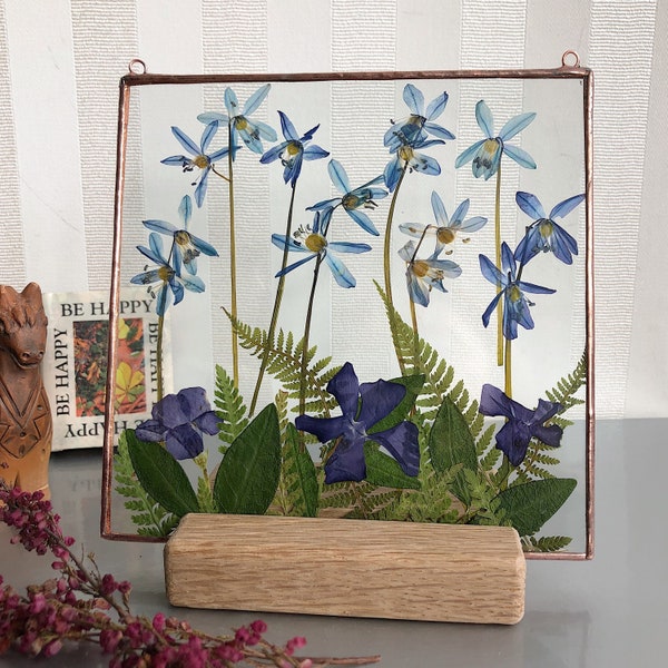 Flor azul prensada en marco de vidrio - Planta seca de herbario colgante, Atrapasol floral moderno - Minimalismo Plantas prensadas Regalo de arte de Estonia