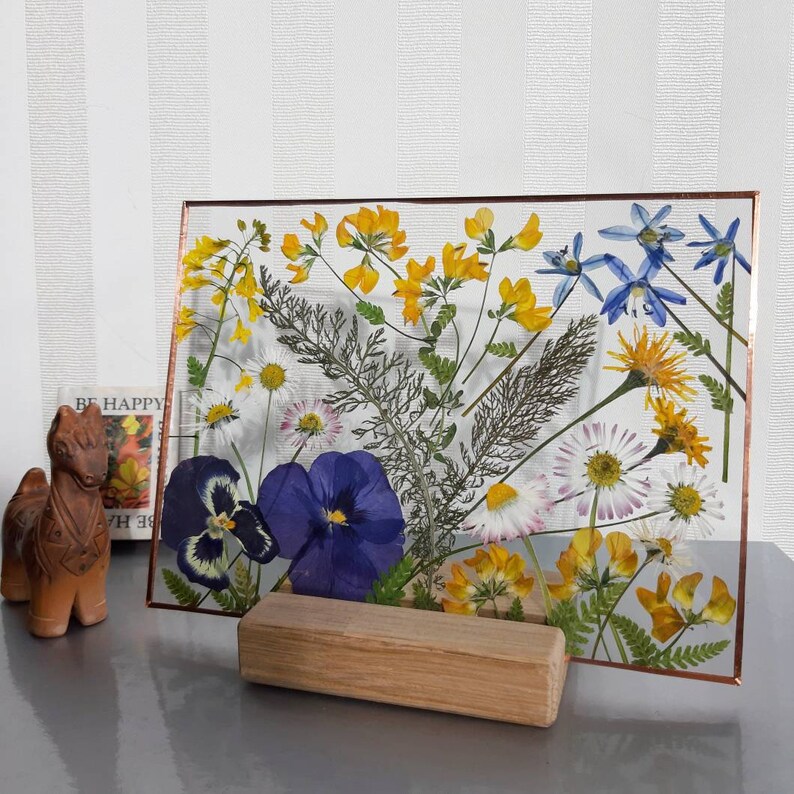 Pressed Wildflowers in Glass Frame Herbarium Dry Plant Etsy