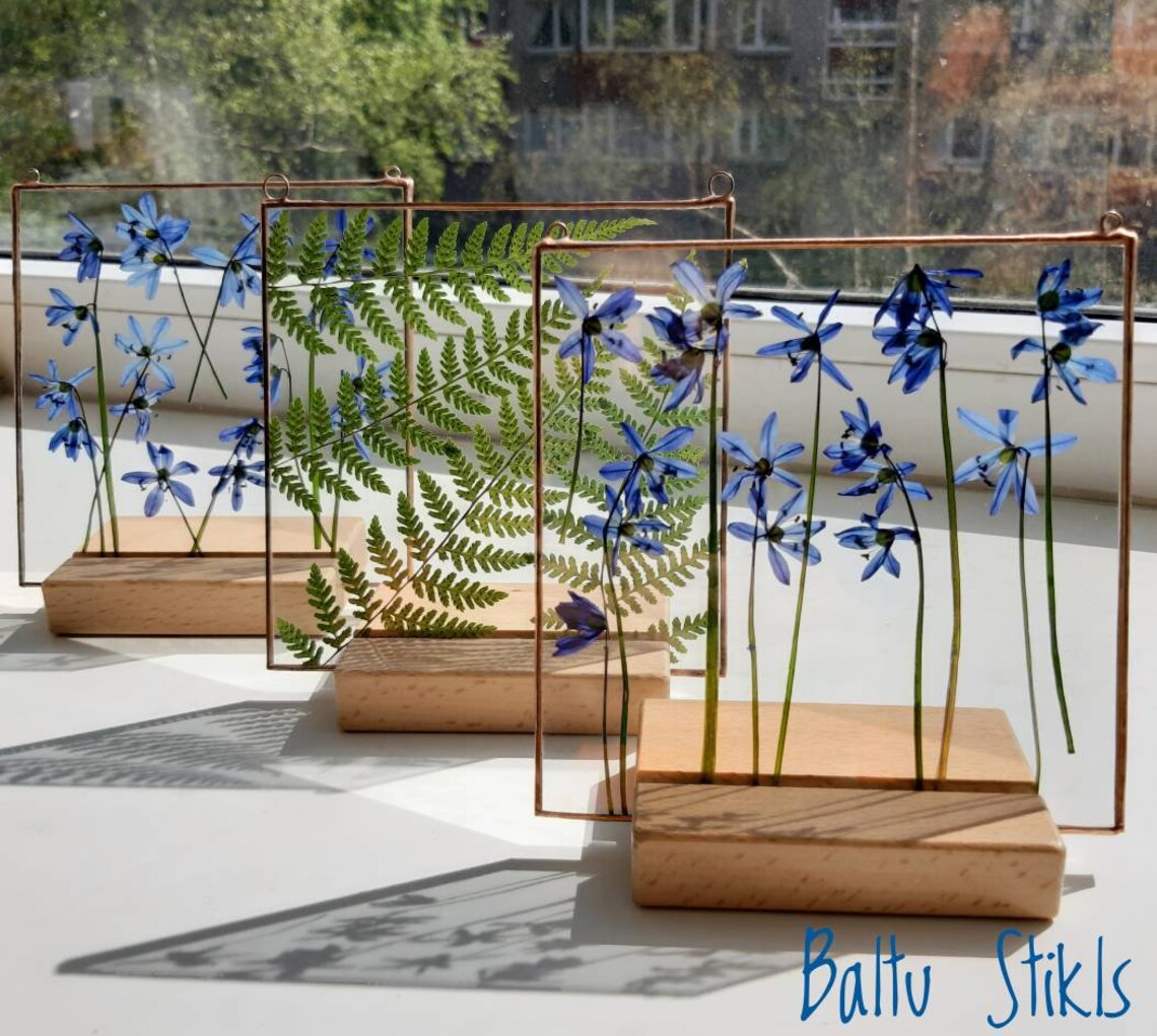 Glass Fusion Wooden Stands Oak Beech Stand for Herbarium Etsy