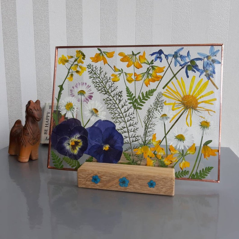 Pressed Wildflowers in Glass Frame Herbarium Dry Plant Etsy
