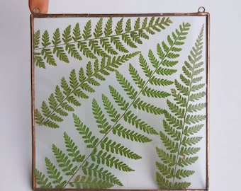 Gepresster grüner Farn im Glasrahmen - getrocknete Pflanzenaufhängung, moderner Blumensonnenfänger - Minimalismus gepresste Farne Kunstgeschenk aus Etsy