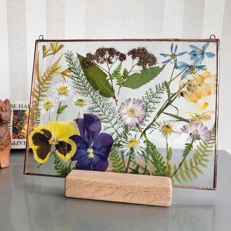 Pressed Wildflowers in Glass Frame Herbarium Dry Plant Etsy
