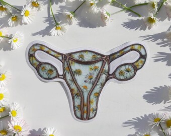 Human Uterus with Ovaries Sticker: Set of 3, 5 - Anatomy Art, Anatomical Gift, Stained Glass Sticker