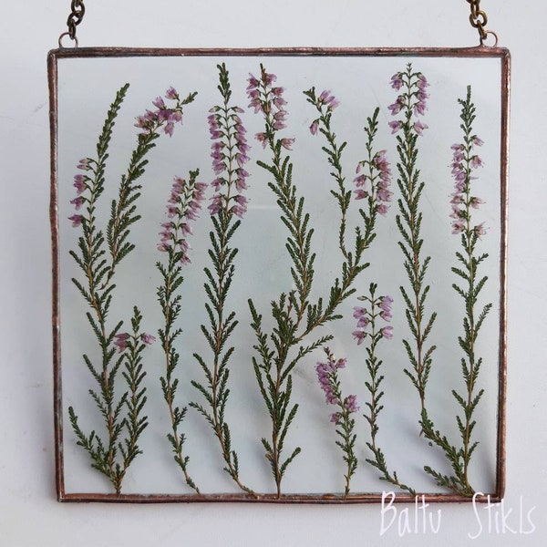 Pressed Wild Heather in Glass Frame - Herbarium Dry Flower Hanging, Modern Floral Suncatcher Minimalism Pressed Plants Art Gift from Estonia