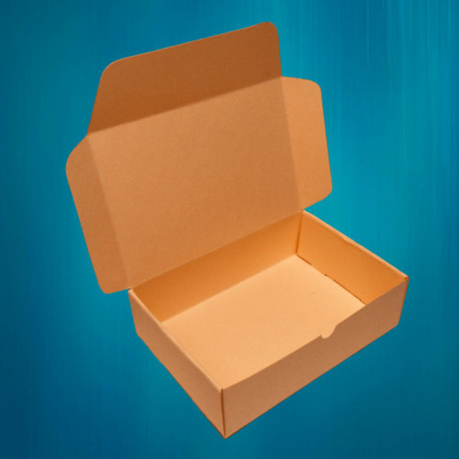 Rectangle Box Template Rectangular Box Shoes Box Shipping Etsy Australia