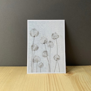 Postkarte Wollgras