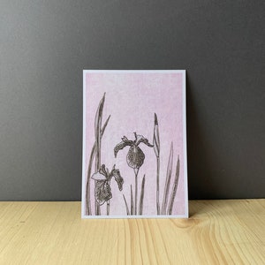 Postkarte Iris