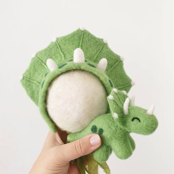 Felted Dinosaur Triceratops and Bonnet Set Newborn Photography Prop