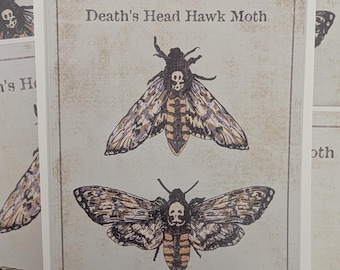 Death Head Hawk Moth Kunstdruck - Horror/Entomologie inspirierte Illustration