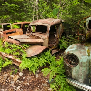 Old rusty trucks, Opal creek, Old truck decor, Vintage trucks, Rustic decor, Wall art, Garage decor, Print, Forest, Weathered, download,