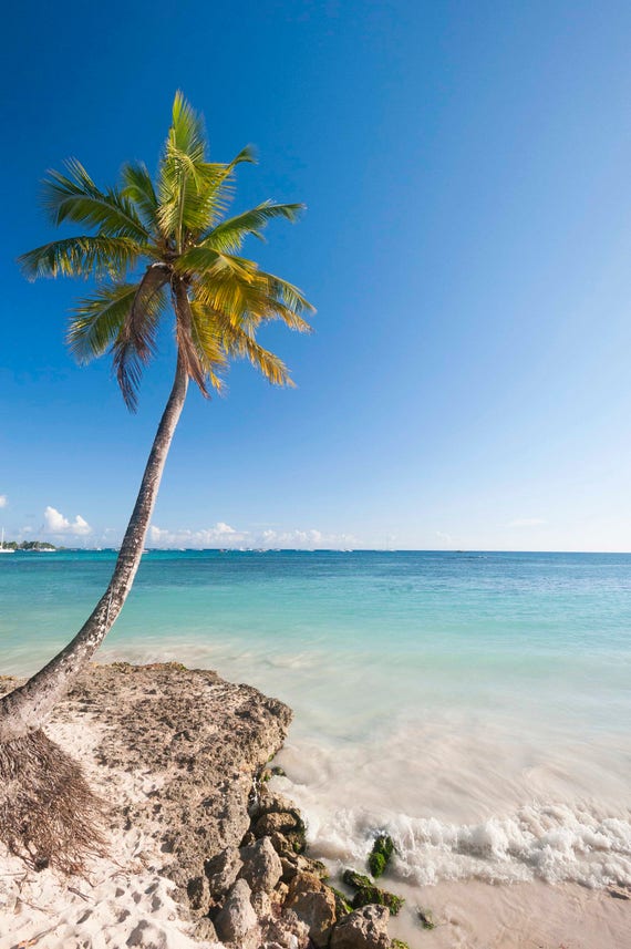 dominican republic wall art giclee print carribean photography turquoise wood hut with palm