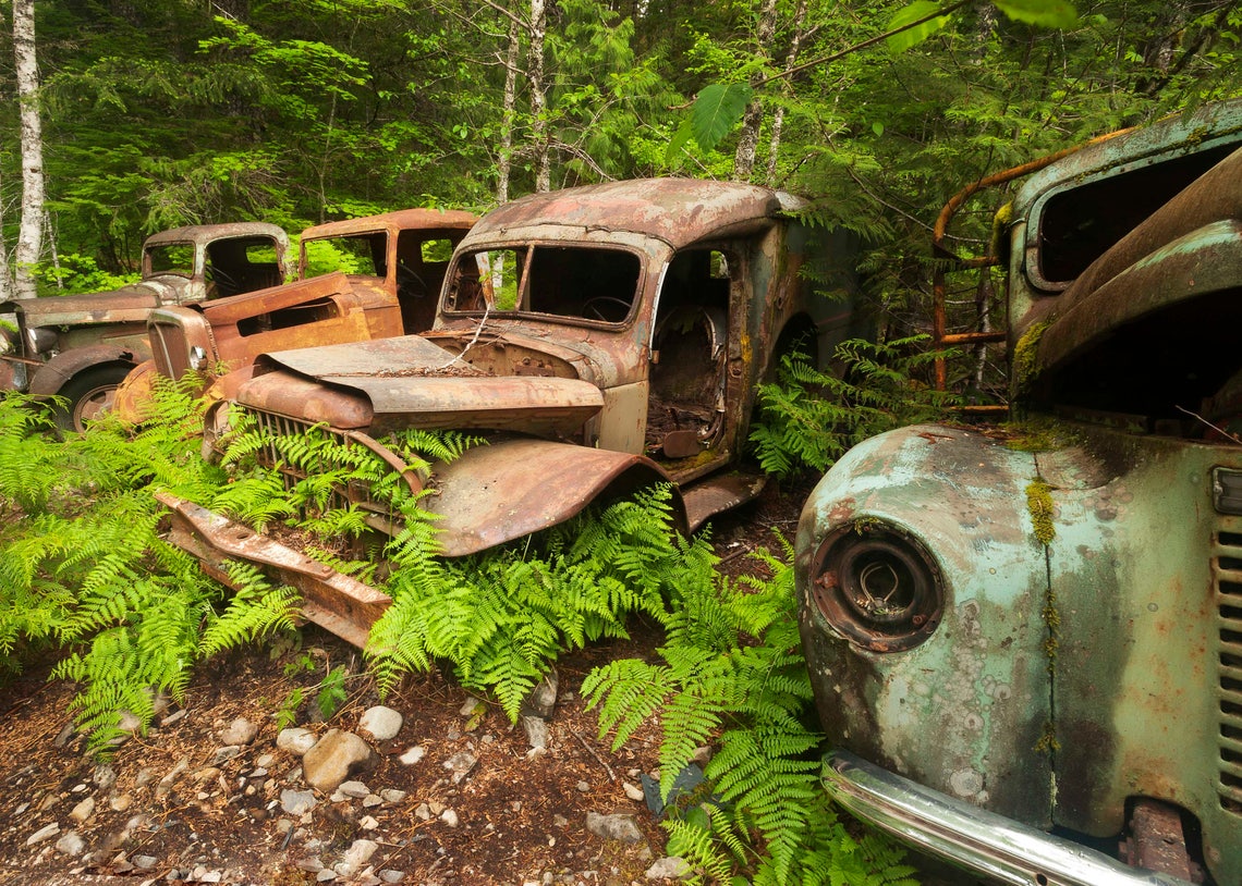 Old Rusty Trucks, Opal Creek, Old Truck Decor, Vintage Trucks, Rustic