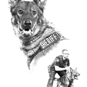 May include: Black and white photo of a German Shepherd police dog wearing a vest that says "SHERIFF". A police officer is standing next to the dog, holding a leash.
