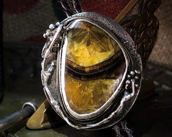 Andalusite in Oxidized Sterling Silver BOLO Tie with Sterling Tips, Handmade Bezel with Berry Branches and genuine leather strings.