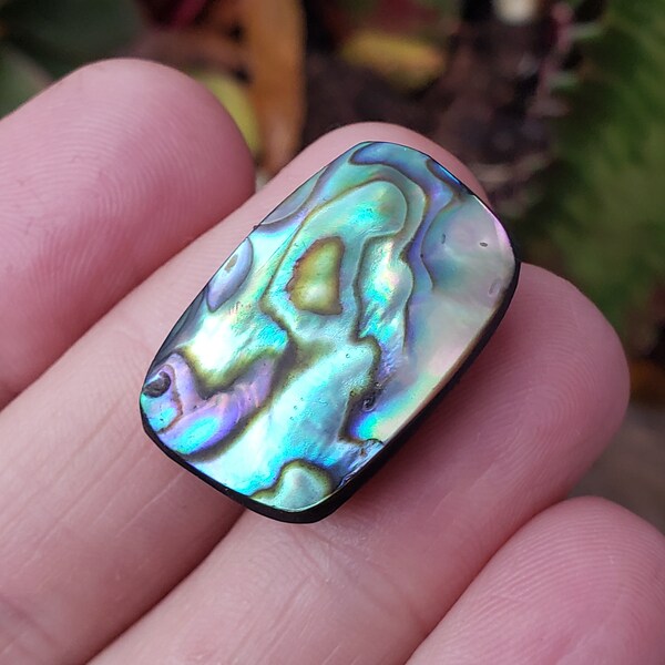 Flashy  Abalone Doublet Cabochon. Freeform 24mm x 15mm. 4.9grams Jewlery making  supplies. Cabochon. Metaphysical. Blue, green.