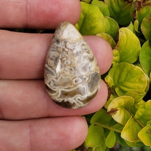 May include: A teardrop-shaped pendant made of brown and white agate with a swirling pattern.