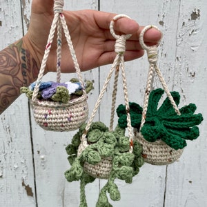 May include: Three crocheted hanging planters with different plants. The planters are made of white yarn with colorful accents. The plants are green and purple.