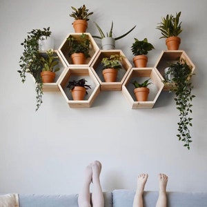 May include: A wooden hexagonal shelf unit with multiple plants in pots. The shelf is mounted on a white wall. The plants are various shades of green and the pots are brown.