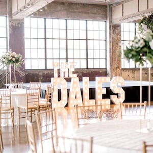 Marquee Letters | Marquee Numbers | 3D Letters | Wedding and Event Decor | Large Letters | Large Numbers | Light up Letters | Free Shipping