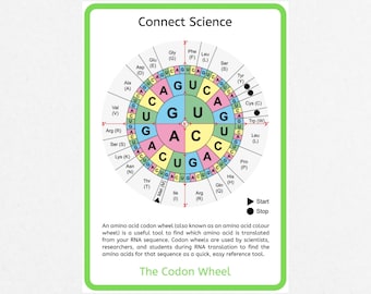 The Codon Wheel Poster - A4 Download - Science Poster