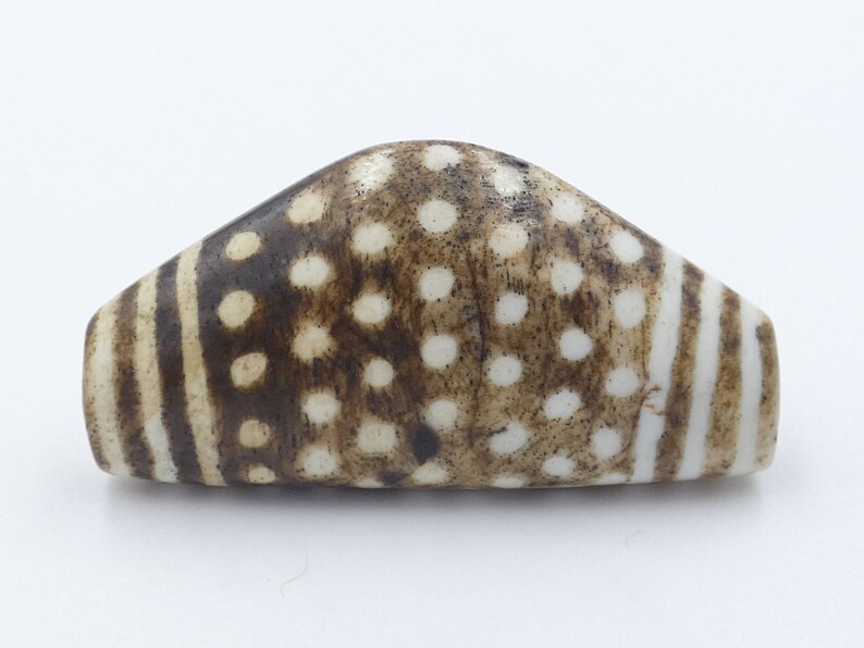 Ancient Bow Shape Spoted Striped Pumtek Dzi Fussil Wood Pyu Bead Tircul Bhuddist Heirloom Chin Beads|Bow Shape Dzi Bead-#PUBOW1