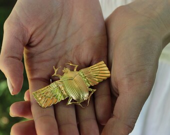 Broche Scarabée Vintage – Bijou Coloré Rétro en 3 Variantes