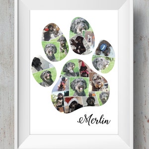 Montaje fotográfico de patas de perro