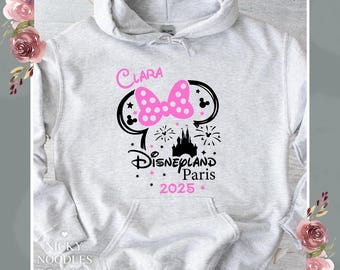 Disney holiday Hoodies /  vacation /  holiday  / reveal tops / Paris /  travel Hoodie  / matching family tops / Eiffel Tower
