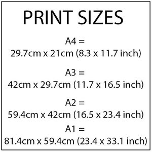 May include: A chart showing standard paper sizes in both inches and centimeters. The chart lists the sizes A4, A3, A2, and A1, with their corresponding dimensions.