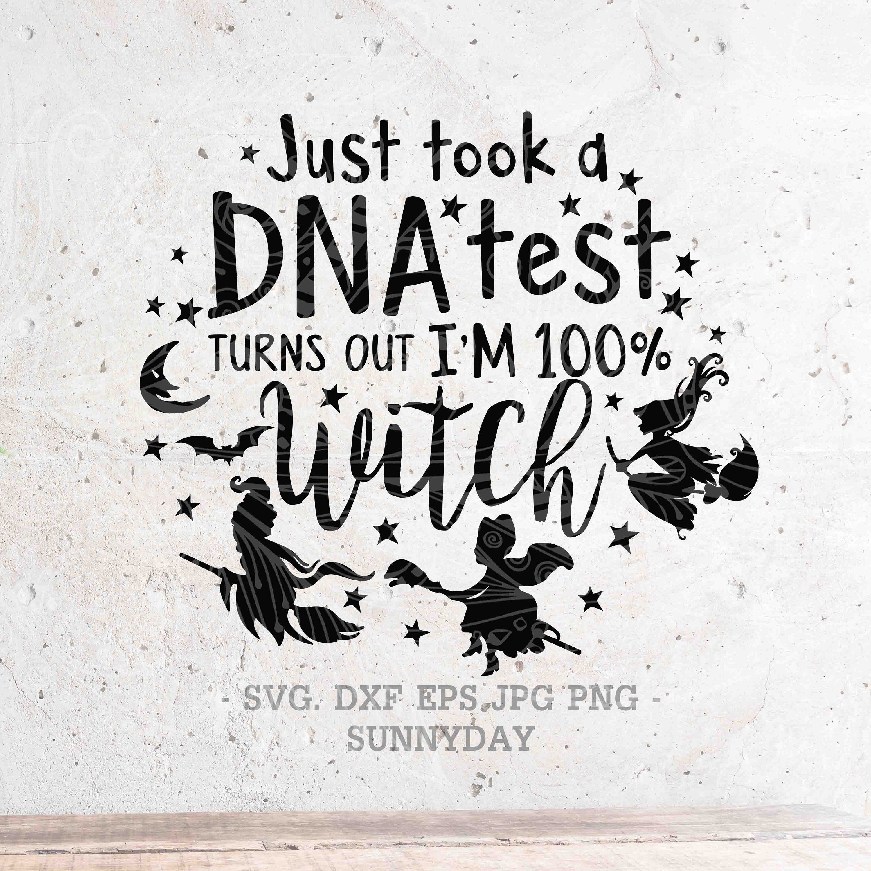 I Just Took A Dna Test Turns Out I'm 100 Percent That Witch T-Shirt I Just Took A Dna Test Turns Out I'm 100 Percent That Witch T-Shirt