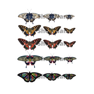 Butterflies Digital Scrapbook Paper - Collage Sheet - Instant Download