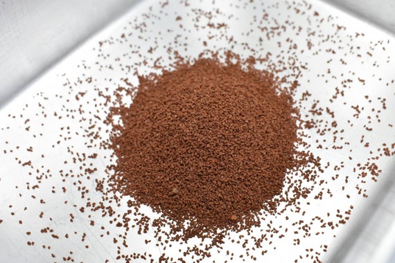 hermit crab and betta fish