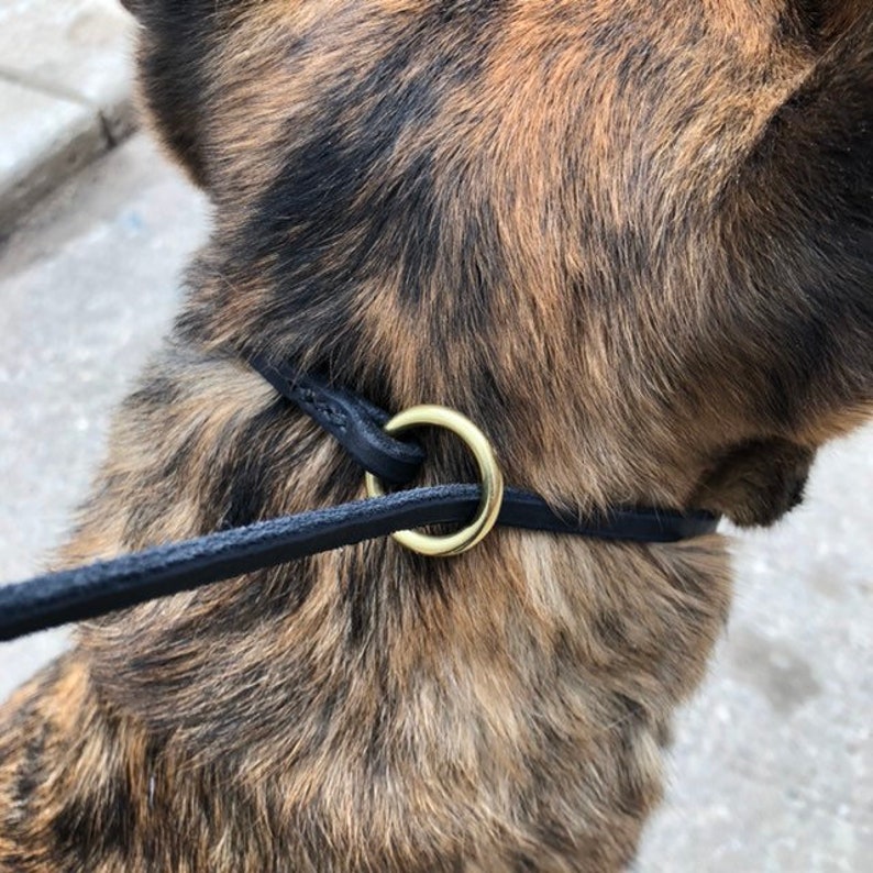 thin slip leads for dogs