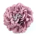 see more listings in the Pince/broche fleur  section