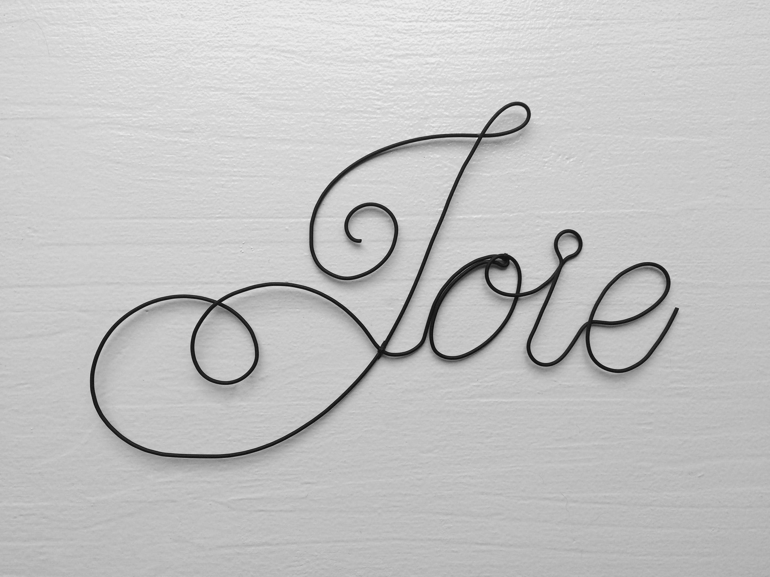 Joie Mot En Fil De Fer Ecriture Fil De Fer Message Phrase Etsy Australia
