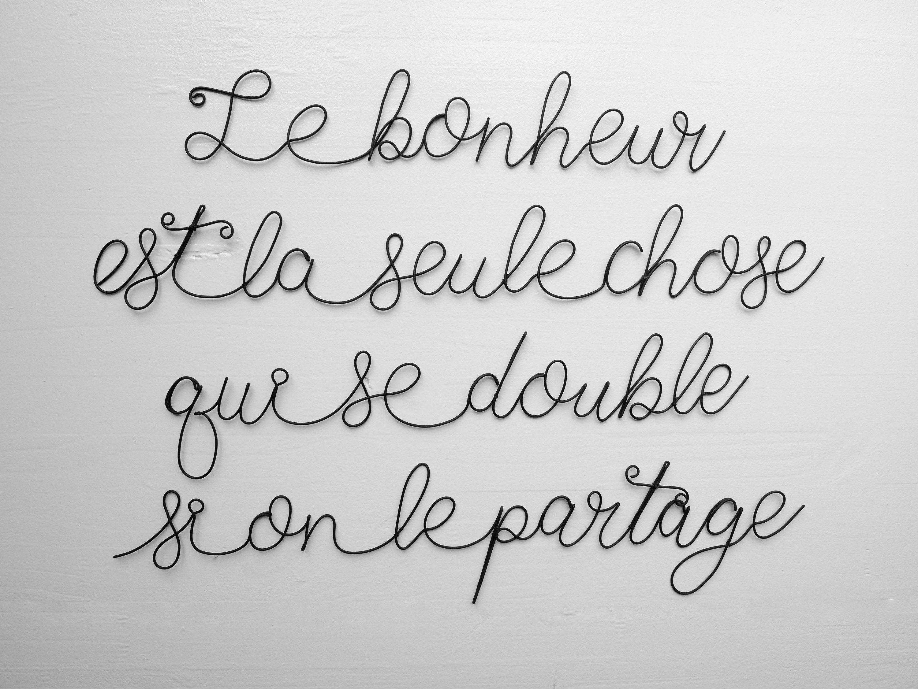 Citation Murale en Fil de Fer Recuit, Phrase Fer, Bonheur Amour, Sticker Mural, Plaque Porte, Décora