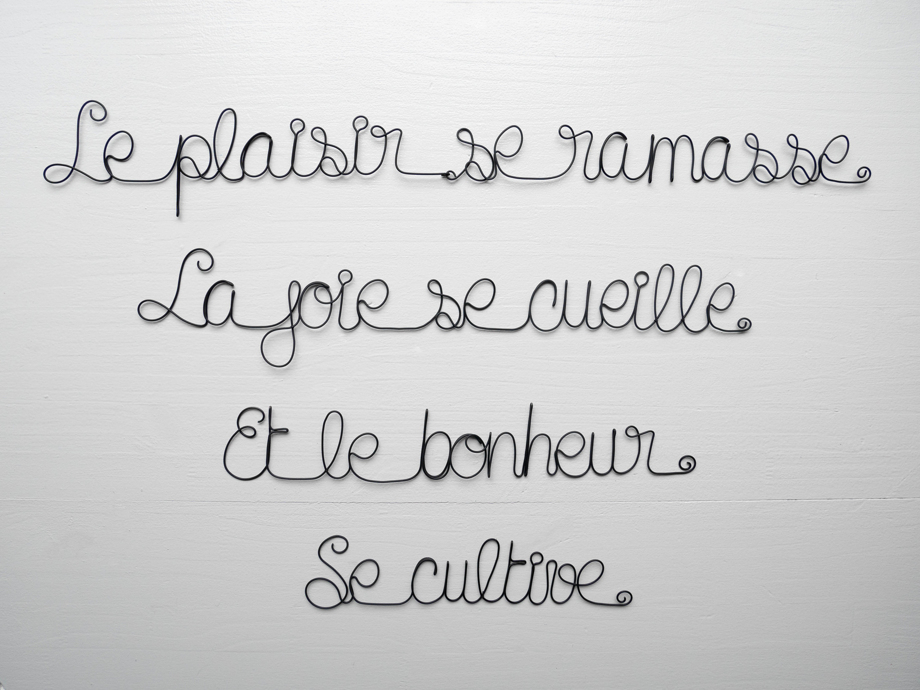 Citation en Fil de Fer, Bouddha, Écriture Message, Phrase Citation Le Plaisir Se Ramasse