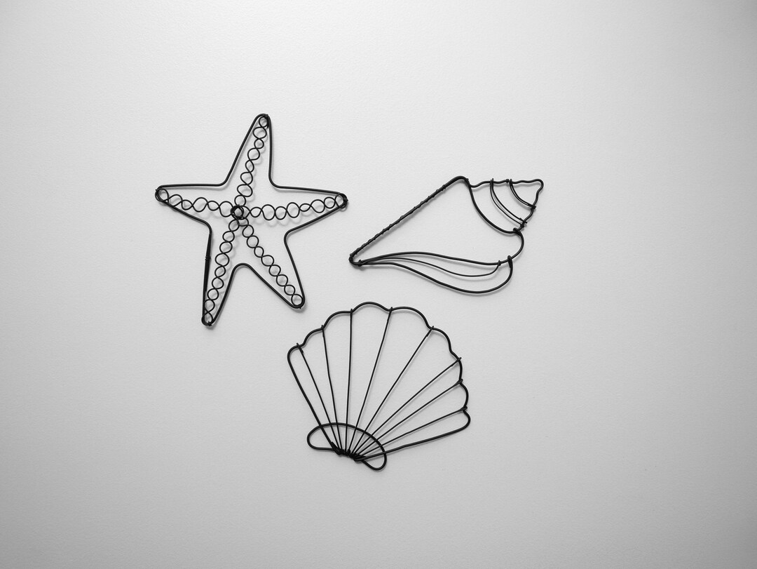 Set of 3 Decorative Shells in Annealed Wire, Wall Decoration or to ...