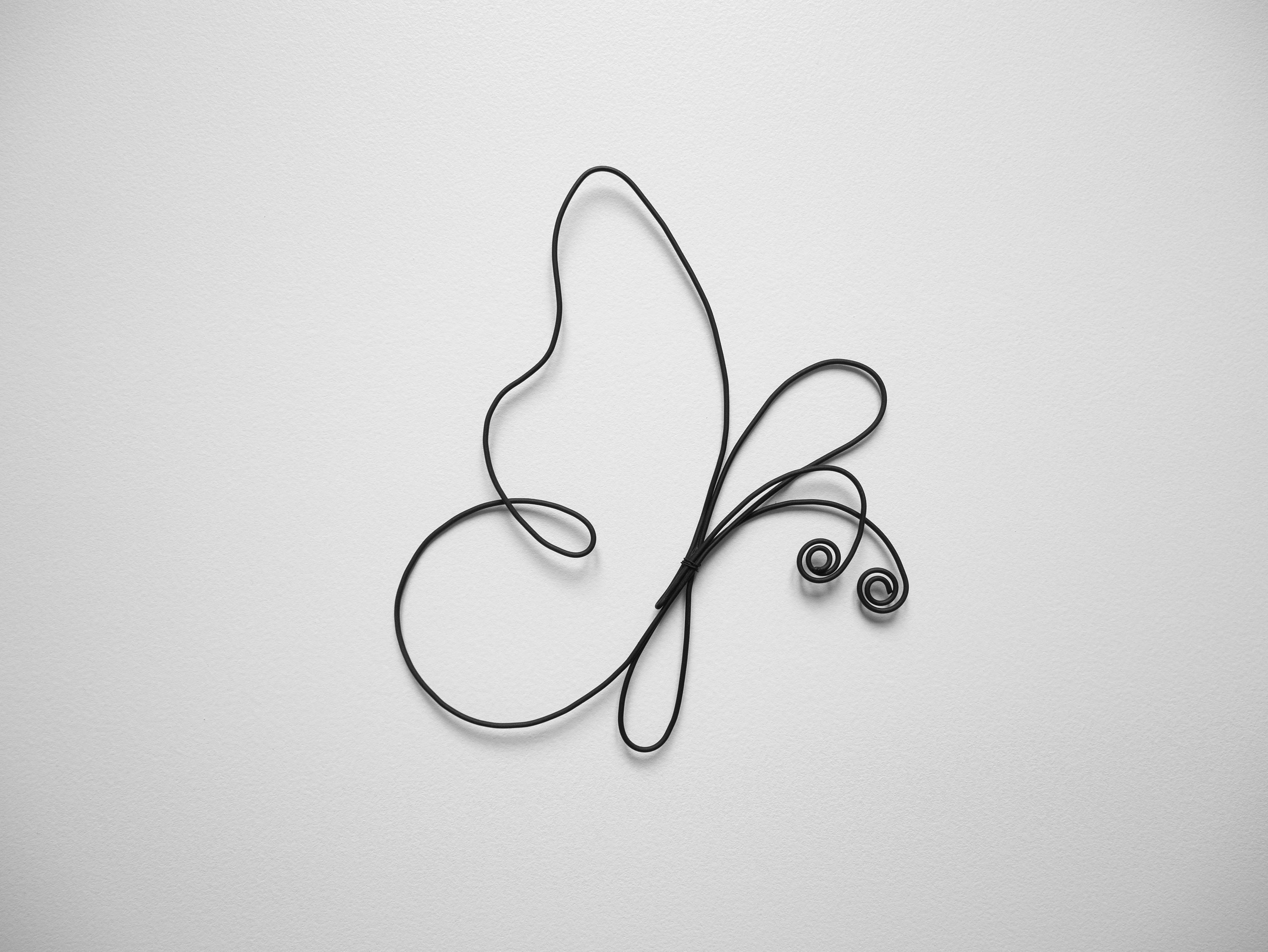 Butterfly wire, butterfly wire, wall decoration wire, decoration nature