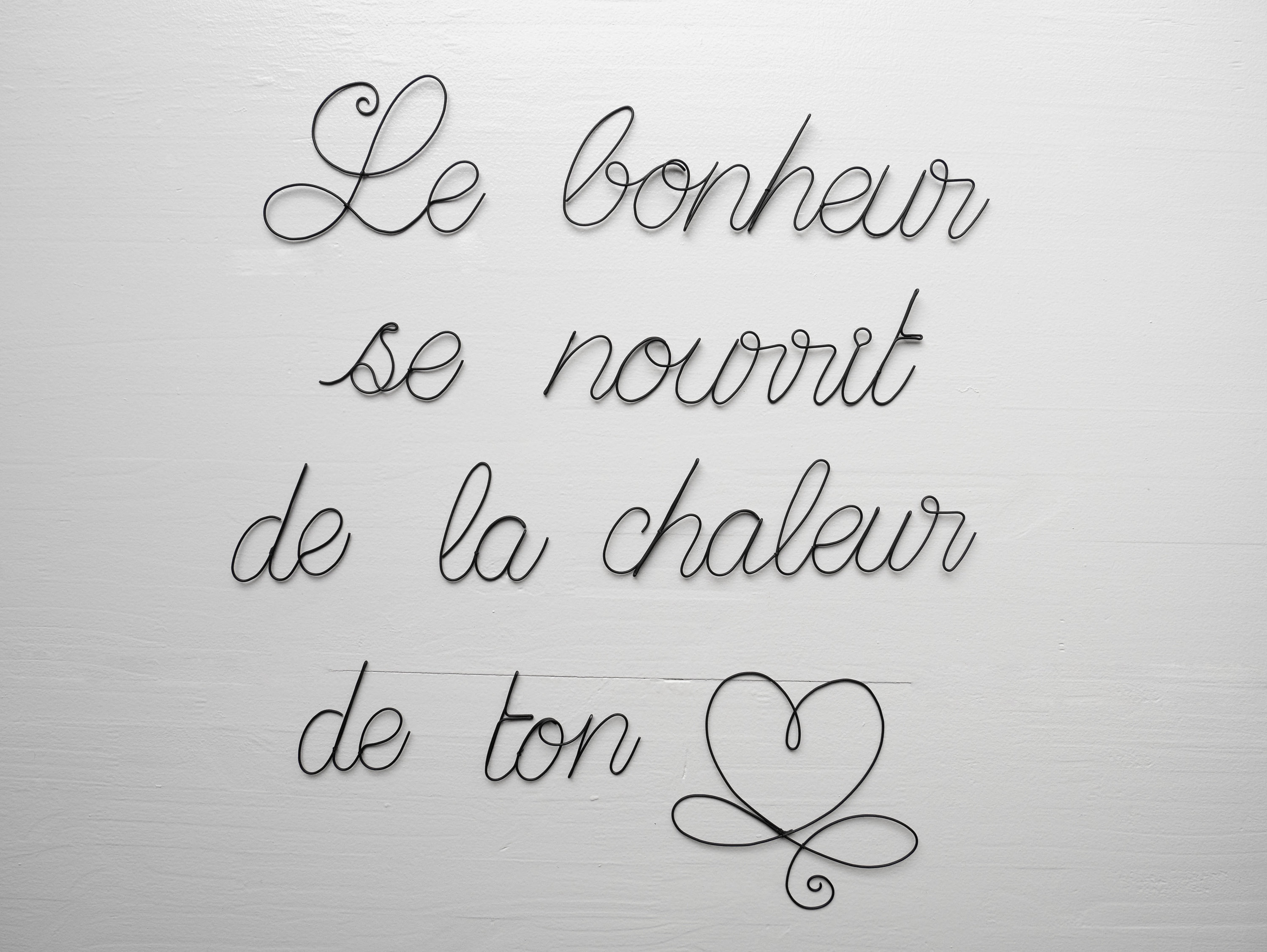 Citation Bonheur en Véritable Fil de Fer Recuit, Phrase Fer, Mot Décoration Murale, Bonheur, Plaque 