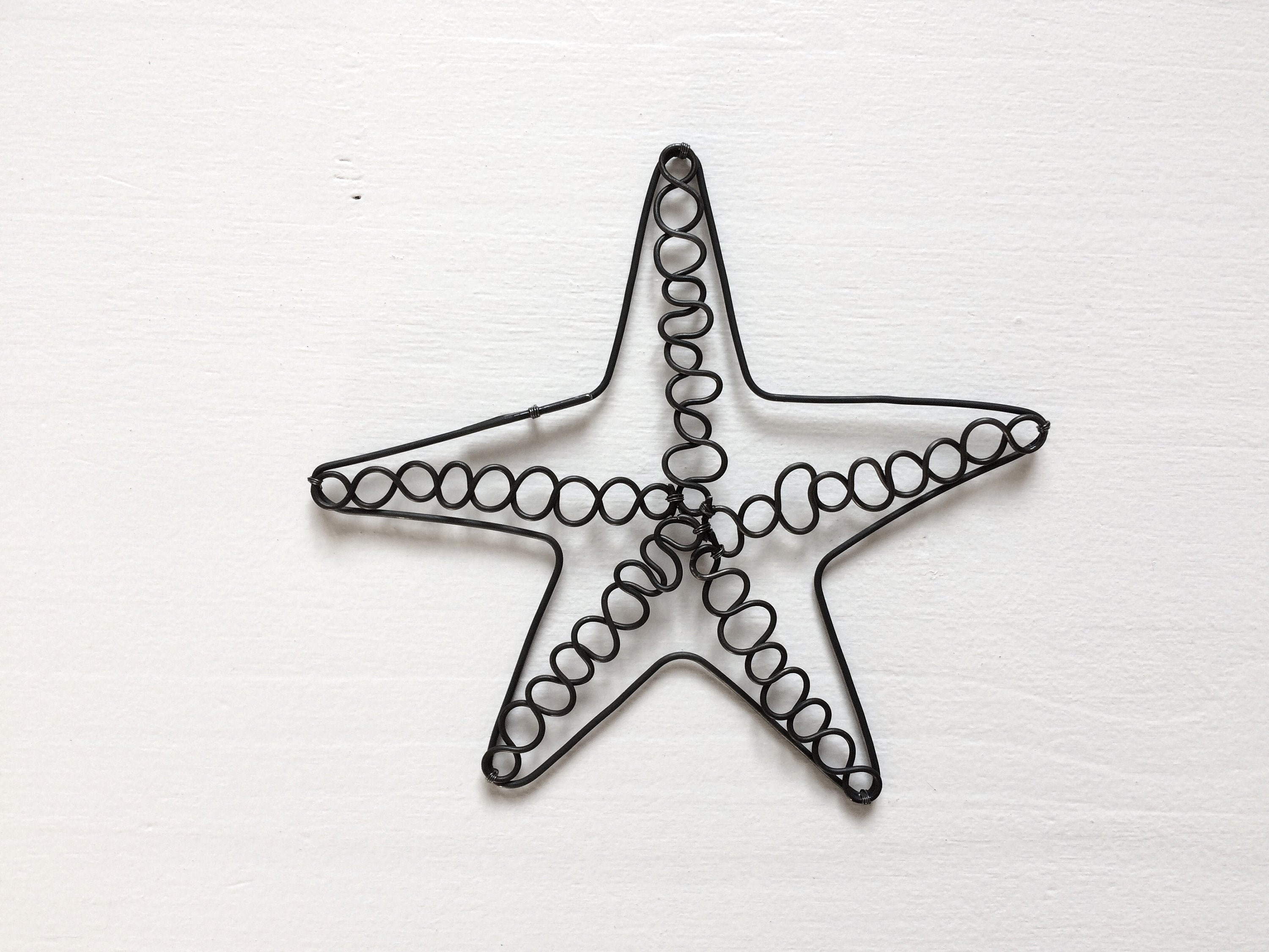 Etoile de Mer Décorative en Fil Fer Recuit, Décoration Murale ou à Poser, Thème Aquatique, Mer, Écri