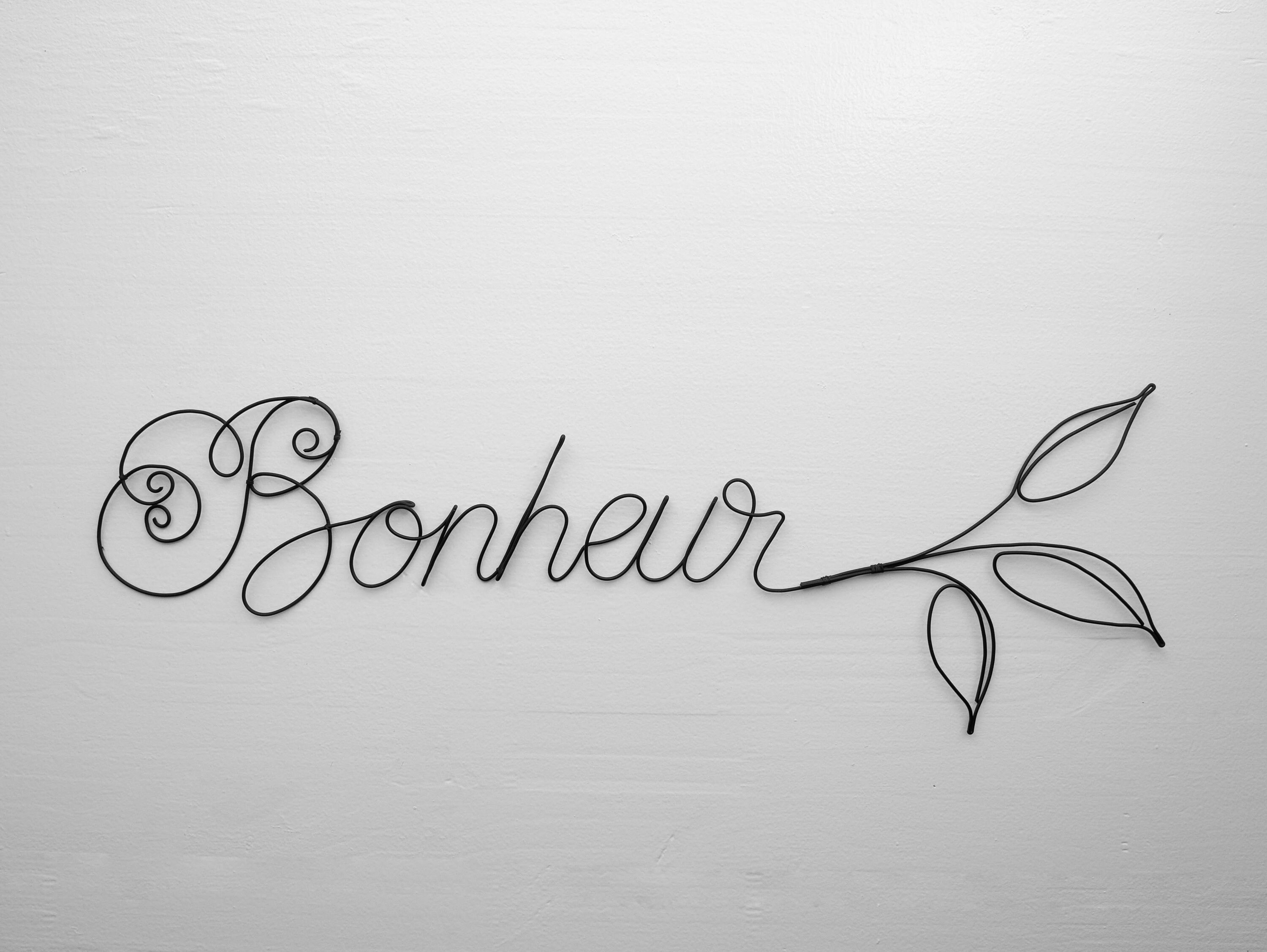 Plaque de Porte Bonheur en Fil Fer Recuit, Message Fer, Phrase, Prénom Sculpture, Décoration Murale,