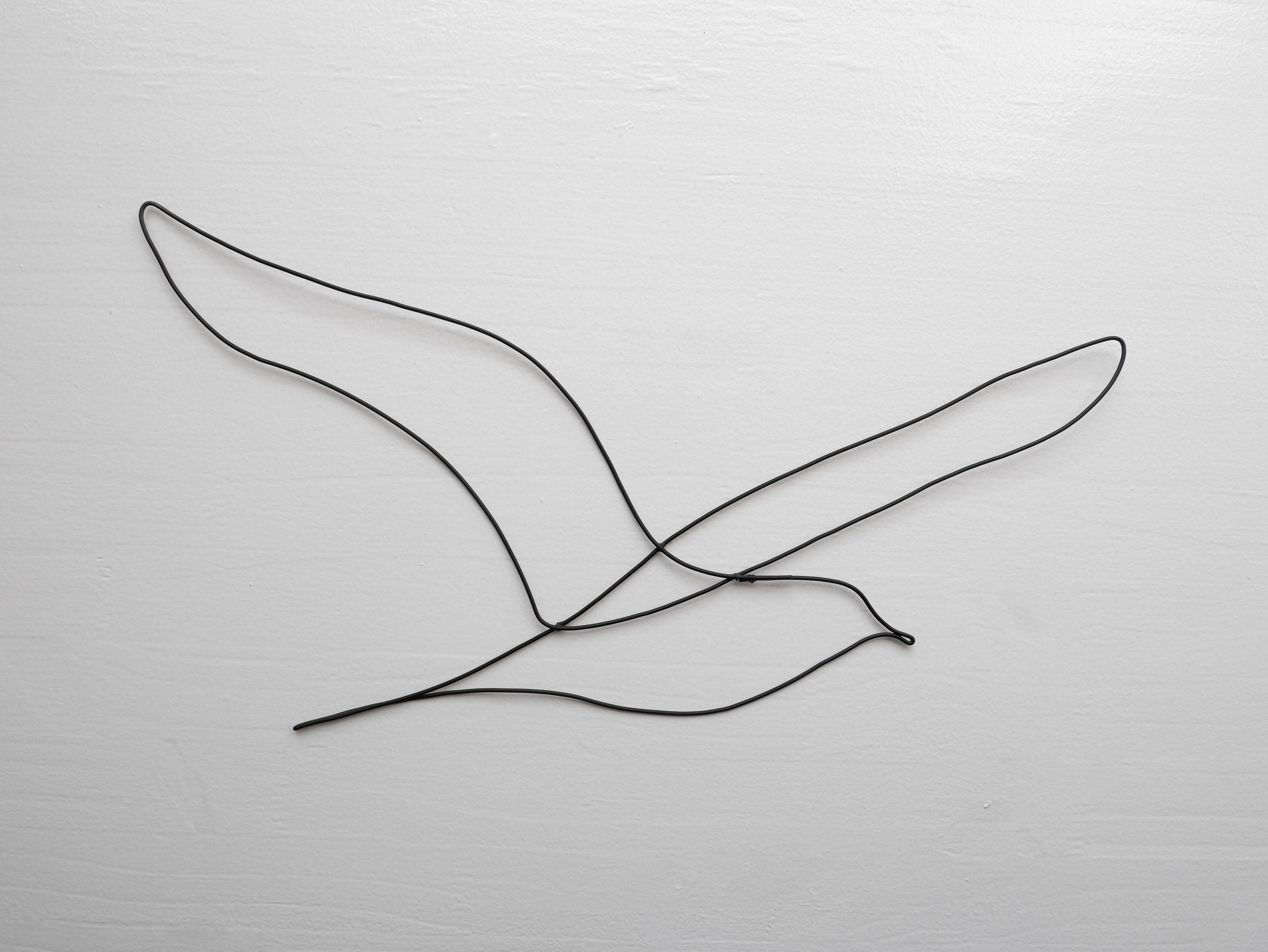 Wire Bird, Wire Seagull, Nature Wall Decoration, Bird Silhouette, Metal  Seagull, Metal Bird - Etsy