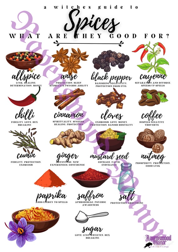 Herbs and Spices Magickal Uses DIGITAL DOWNLOAD Witch Witchcraft Pagan Wicca  Paganism Wiccanism Magical Magic Herb Spice Kitchen 