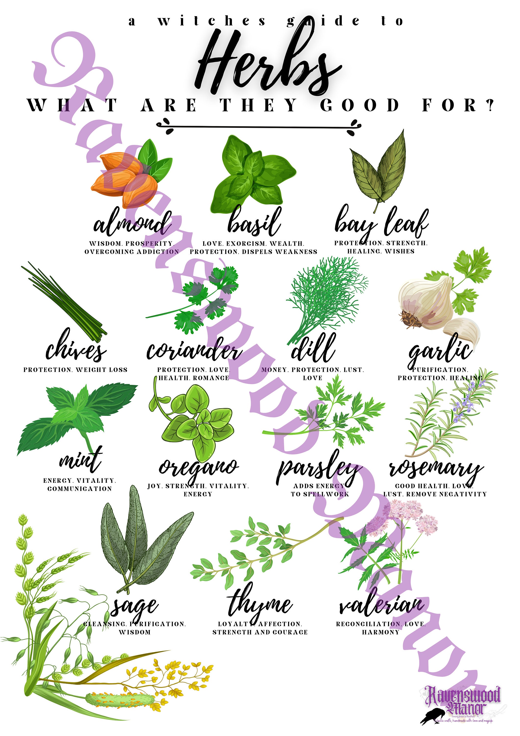 Herbs and Spices Magickal Uses DIGITAL DOWNLOAD Witch Witchcraft Pagan