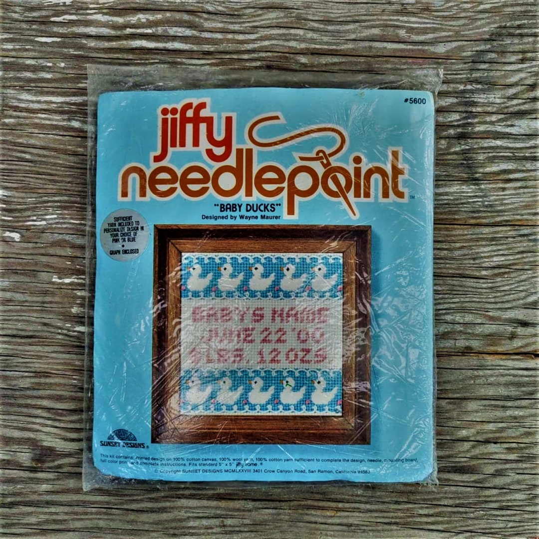 Vintage Needlepoint Kit, Craft Kit for Kids, Retro Decor, Baby Gift